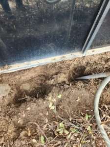 Watauga Irrigation Repair